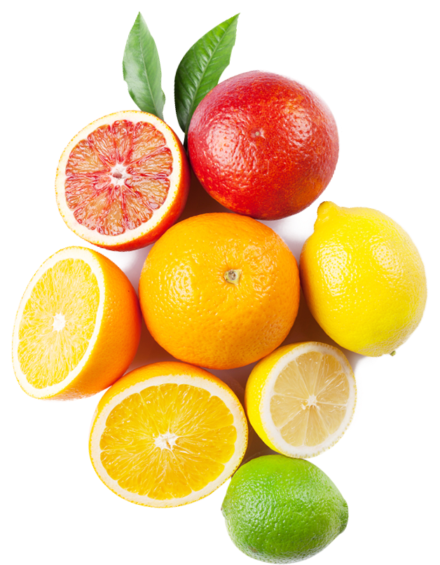 fruits-légumes-saison