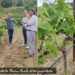 producteurs-rosello