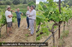 Consommer local et frais - Maison Rosello & Fils