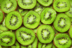 Fruits de saison - Kiwis - Rosello & Fils