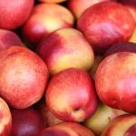 Nectarines - Rosello & Fils