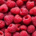 Tout savoir sur la framboise - Rosello & Fils